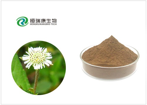 墨旱莲提取物