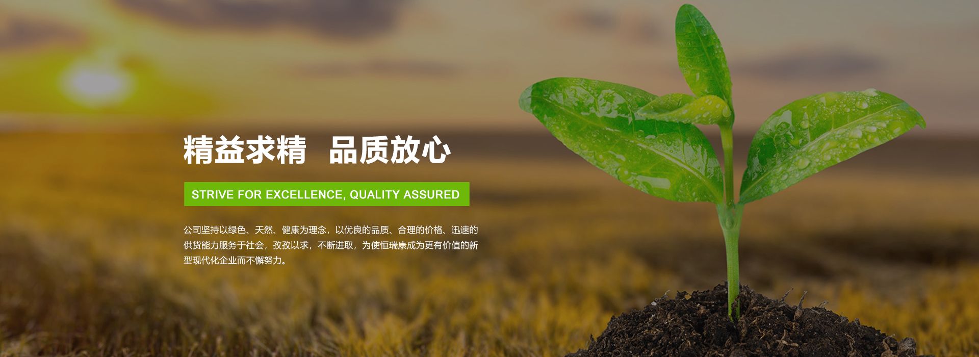 通栏图片